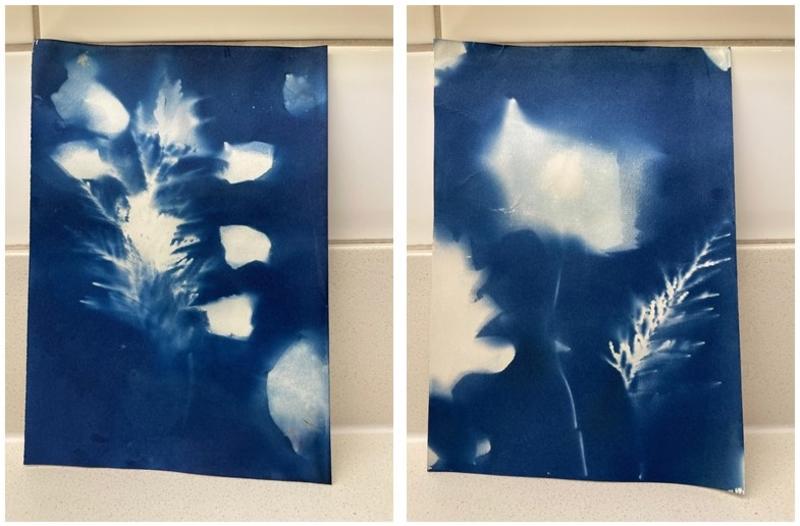 Artwork - white leaf shapes on blue background
