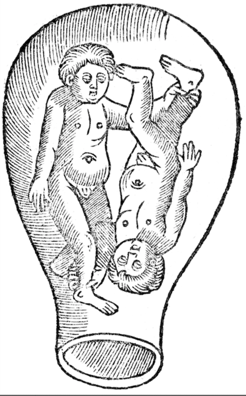 Line drawing of two children in uteri