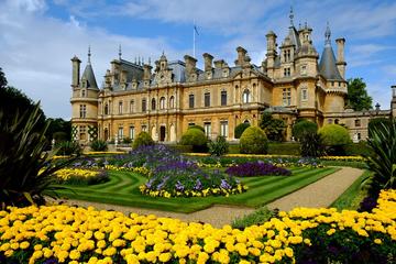 Waddesdon manor from the garden. A flowerbed with yellow flowers in the front. 