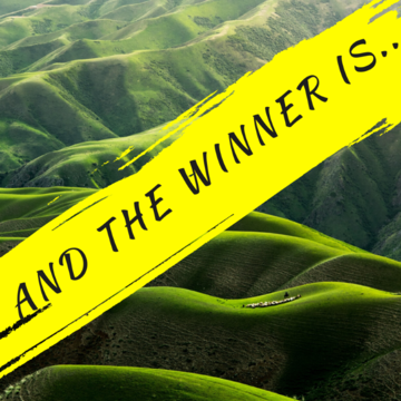 Green landscape background, text reads "And the Winner IS"