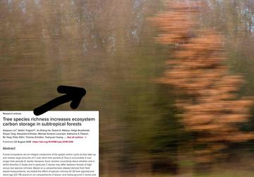 translating ideas into art