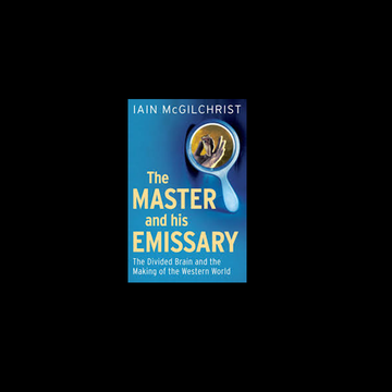 blue book cover of 'The Master and the Emissary' against black backdrop