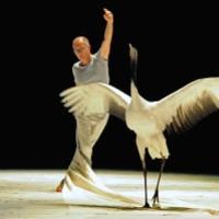 Man on stage dancing with Crane (the bird)