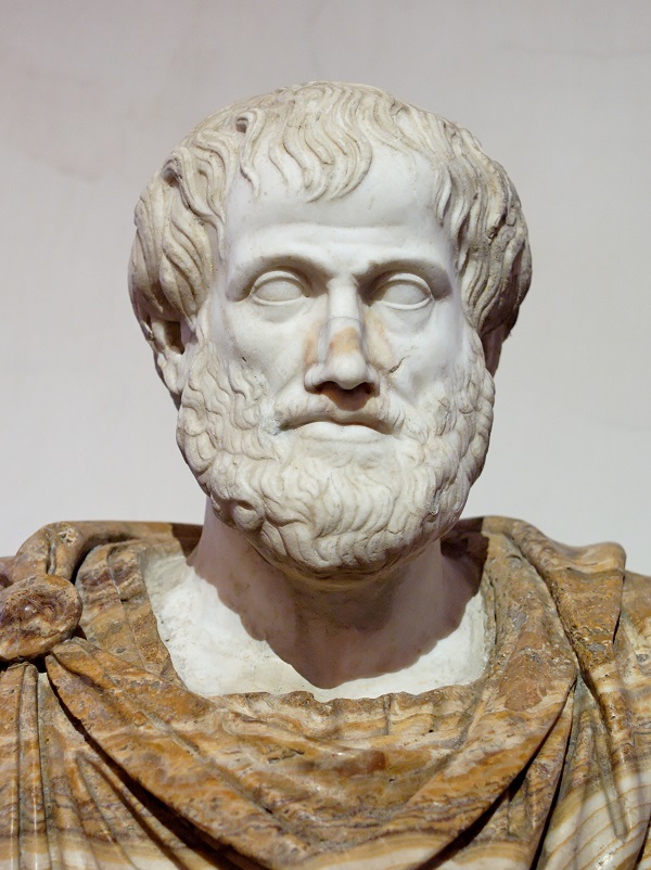 A marble bust of Aristotle via Wikimedia Commons