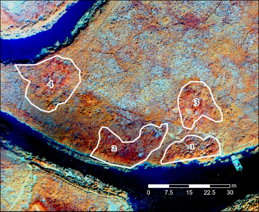Top down aerial view of an archaeological site with four abandoned sod-built structures around 15m in diameter on average.