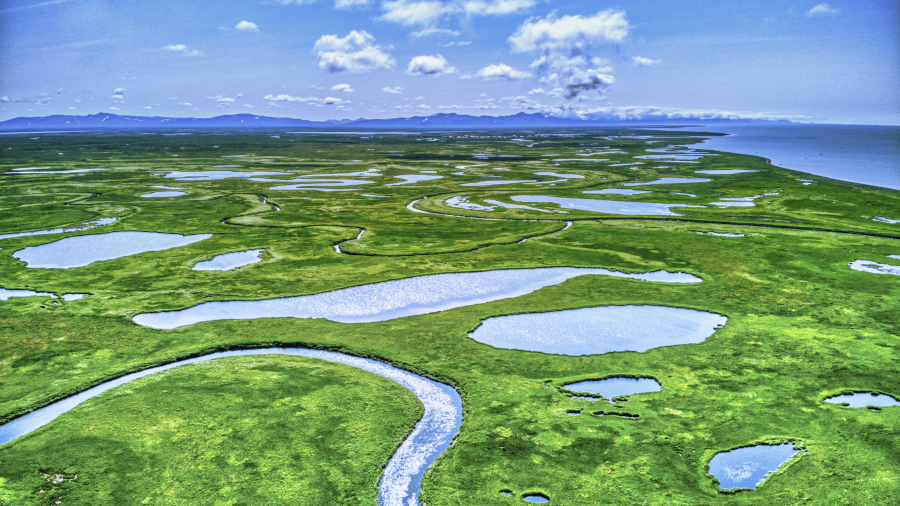 Aerial landscape photo of the Y-K Delta, showing a lush green tundra landscape dappled with lakes and rivers. There is a mountain range in the background.